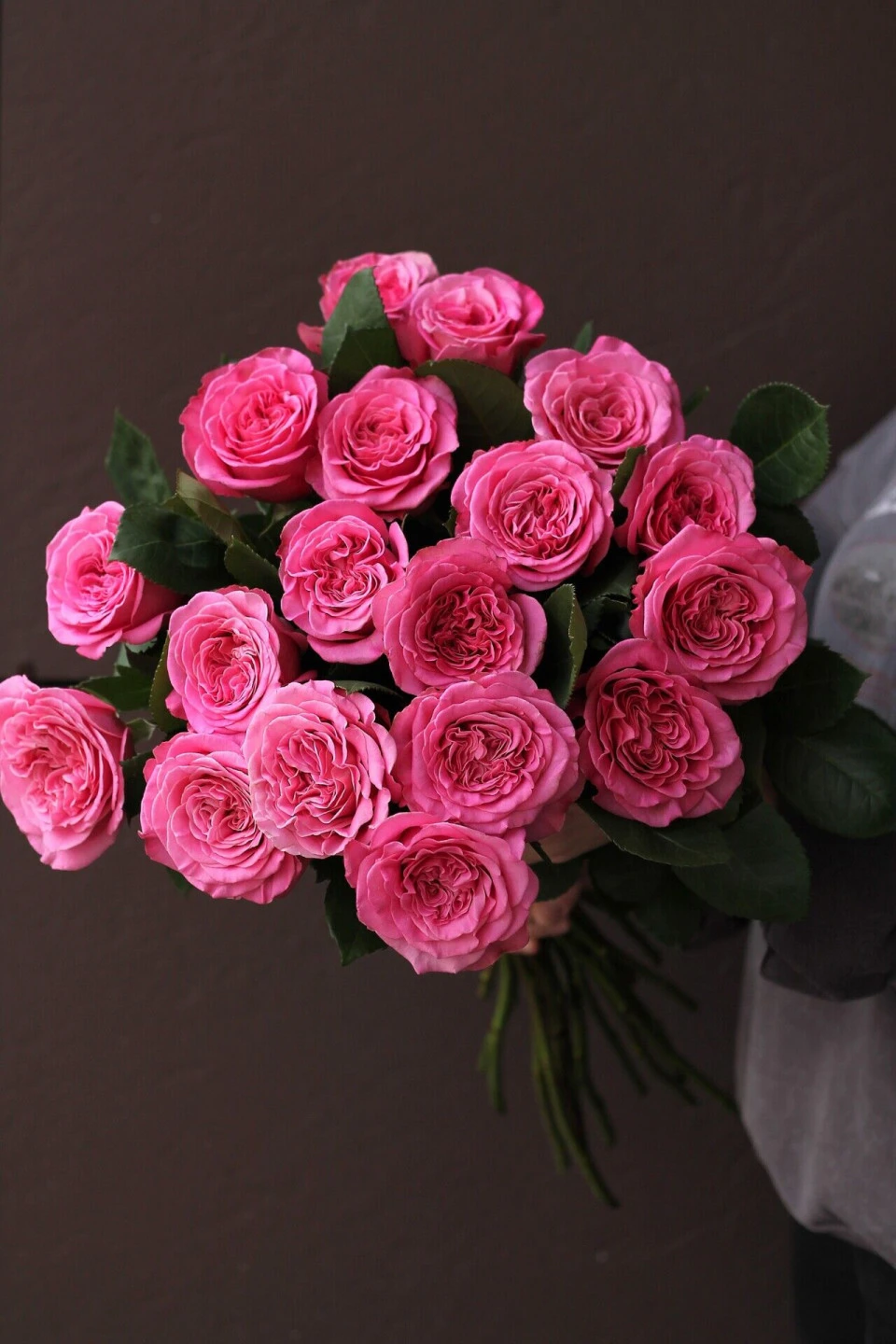 Роза пионовидная Пинк Пэшн(Pink Passion)