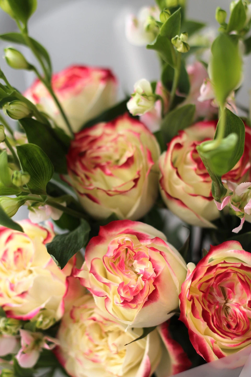 Букет с пионовидными розами Шери - подарочное оформление