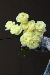 Ранункулюс Клуни