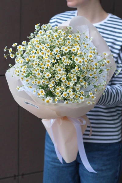 Букет из ромашек "Камомилла"