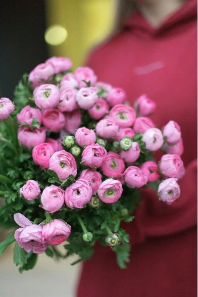 Ранункулюс Клуни