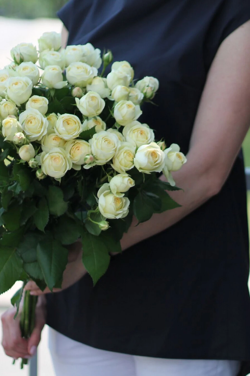 Роза кустовая Wedding Yo-Yo - с доставкой по Минску