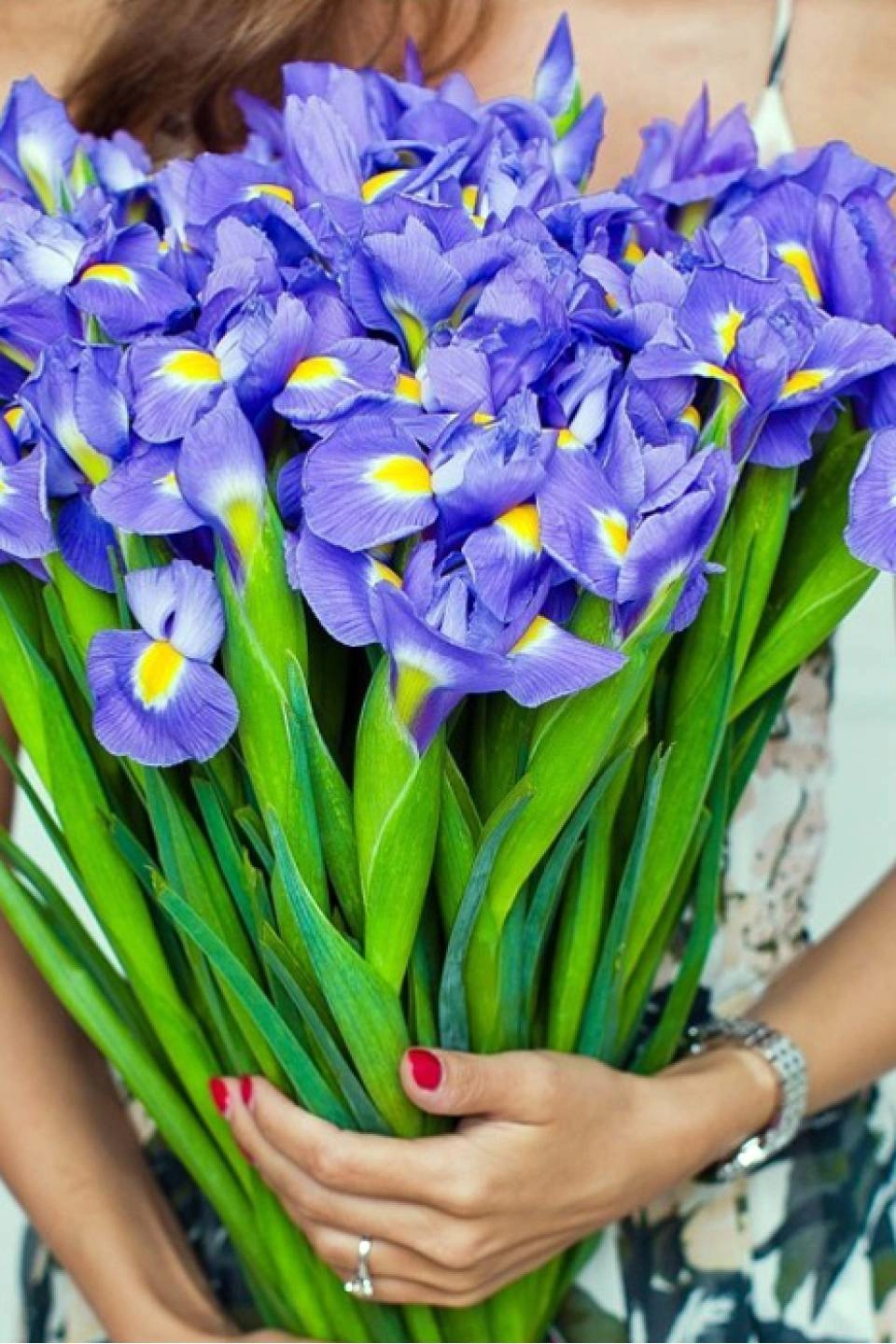 Букет из ирисов — заказ с доставкой в Минске
