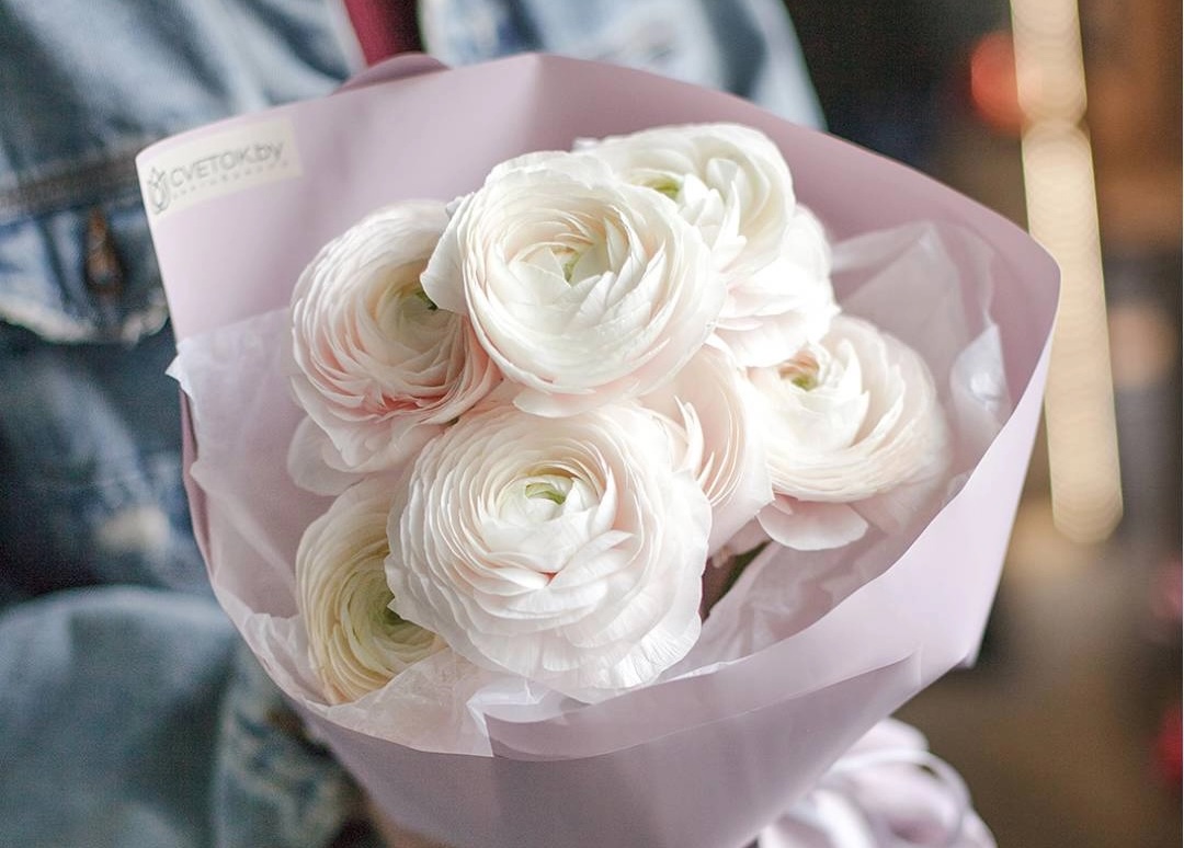 нежные ранункулюсы с доставой в Минске